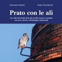 Prato con le ali