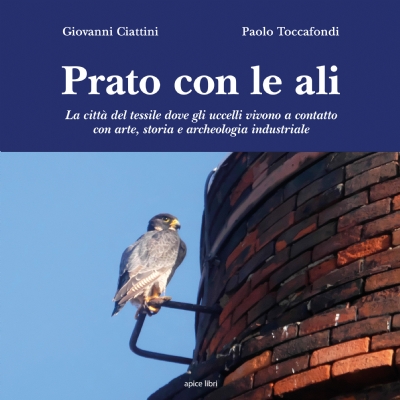 Prato con le ali